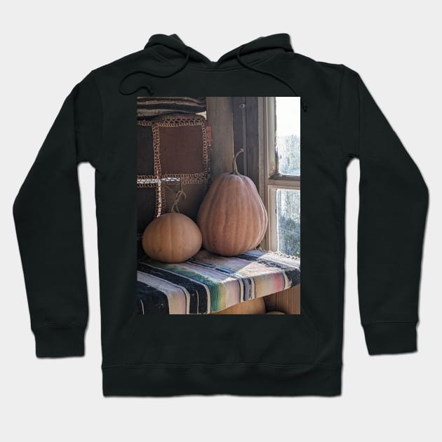 "Larder" garden pumpkins in a Greek treehouse Hoodie by aeolia